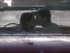 Filename=Chasing_0522.jpg
Filesize=128KiB
Dimensions=576x432
Date added=Apr 29, 2007 Chasing_0522.jpg